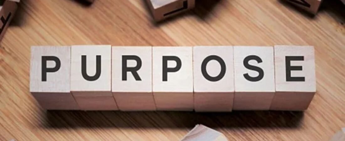 The Rise of Purpose Driven Startups in India: How Social Impact Startups Are Shaping the Future 2024